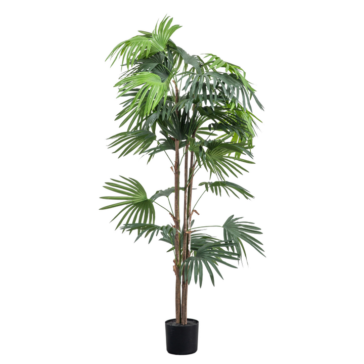 Artificial Plant- Large Chinese Palm- Foliage